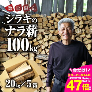 yӂ邳Ɣ[Łzss\ti d 100kg  20kg × 5 yV e Y  Lv AEghA BBQ Lvpi AEghAObY W[ ƒp ȈՕ 󂠂 