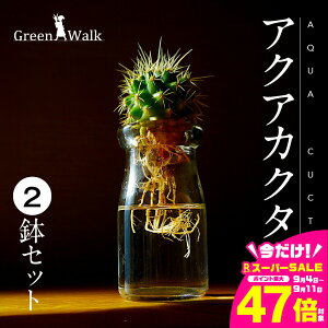 yӂ邳Ɣ[ŁznChJ`[ ϗtA ANAJN^XS 2Zbg T{e y CeA  O[ A ȒP S 킢 R   Green Walk O[E