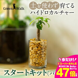 yӂ邳Ɣ[ŁznChJ`[ ϗtA pL X^[gLbg y CeA  O[ A ȒP S 킢 R   Green Walk O[EH[N m 