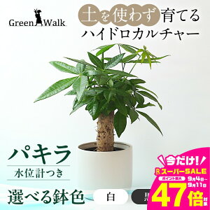 yӂ邳Ɣ[ŁznChJ`[ pL mg[ 130 픫 ʌvZbg 픫 y CeA  O[ A ȒP S 킢 R   Green Walk O