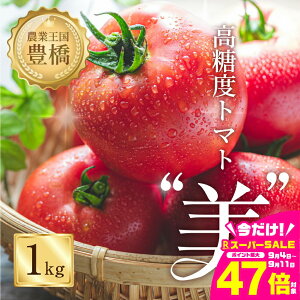 yӂ邳Ɣ[Łzs\ⓜx8xI""g}g 1kg ʃg}g g}g Ƃ܂ x  t[c ʕ uhg}g 1L Â m Ls 10000~ 1~