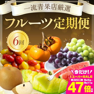 yӂ邳Ɣ[ŁzꗬʓXIIt[c 6iEԂǂEEXCJE`Eg}gj  6 6񂨓͂ t[c ʕ { t[c I VC}XJ