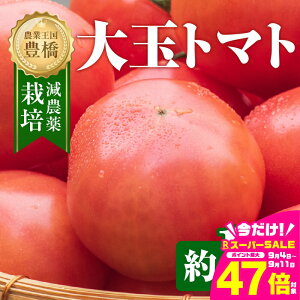 yӂ邳Ɣ[Łzs\ʃg}g  1kg g}g  Z Â  x n tomato Ƃ܂ ₳ R SS {  m Ls