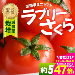 yӂ邳Ɣ[Łzs\₠܁`I~jg}g  500g g}g ~jg}g Z Â  x n tomato Ƃ܂ ₳ R SS {  m Ls