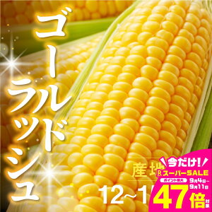 yӂ邳Ɣ[Łzs\ ߘa8NYi2026Nnj Ƃ낱 S[hbV 5kg x 12{ ~ 15{̂ lC Â ȒP ܂ t[c m Ls 13000~ Ė