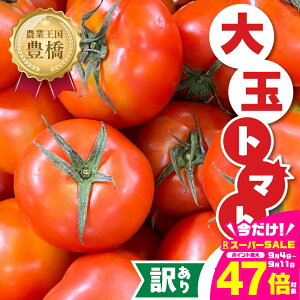 yӂ邳Ɣ[Łzs\ 󂠂g}g 1kg Ƃ܂ g}g tomato  Â ThCb` T_ 󂠂 A 킯 PA KiO { {̖ N m Ls