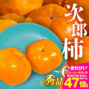 yӂ邳Ɣ[Łzs\ ʌ Yʓ{ mLY Y` Gi 蕨ɂI Iׂ e 3kg 6.5kg ` Ê` ʕ t[c 10 11 m Ls r^~C h{ H