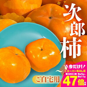 yӂ邳Ɣ[Łzs\ Yʓ{ mLY Y` p Iׂ e 3kg 6.5kg 10kg ` 󂠂 s Ê` ʕ t[c 10 11 m Ls r^~C h{ H