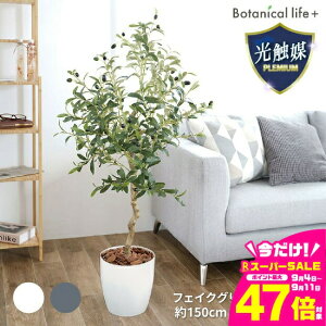 yӂ邳Ɣ[ŁztFCNO[ I[u 150cm G}H t CeA R L m Ls  58000~