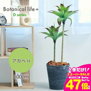 yӂ邳Ɣ[ŁztFCNO[ Botanical life+ DV[Y AKxII 100cm G}H t CeA R L m Ls  47000~