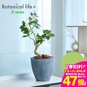 yӂ邳Ɣ[ŁztFCNO[ Botanical life+ DV[Y coL 60cm G}H t CeA R L m Ls  35000~
