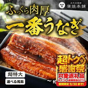 yӂ邳Ɣ[Łz͂Iׂ TCY YȂ 2 ~ 6 ^t Ȃ unagi V Y EiM  yp̉N̓ YȂ ґ J  ȏd Ș Ђ