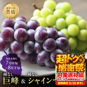 yӂ邳Ɣ[Łzs\ 2026NY₽Ղ1.2kg LY 炲 ȂVC}XJbg300g×2 햳300g×2 uhE Ԃǂ }XJbg t[c Â 1.2L ʕ Ls m M