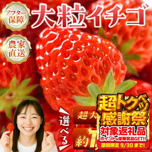 yӂ邳Ɣ[Łzs\ 嗱C`S 1kg (250g×4p) g[ Iׂ 嗱 500g 1000g Of OfTCY lߍ킹 C`S   uhC`S ʕ t[c gق 