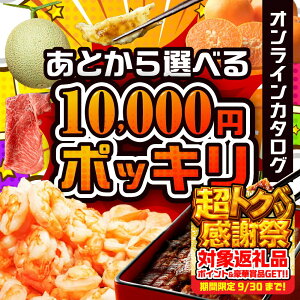 yӂ邳Ɣ[ŁzƂԗiIׂ 10000~ |bL ӂ邳Ɣ[ J^O  ォIׂ ƂZNg   Ȃ   ʕ t[c  XC[