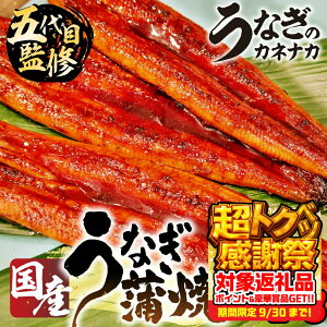 yӂ邳Ɣ[Łz󂠂 Y Ȃ ~10 ~1L  Ȃ m O { É Yn ܂  s 2 3 4 5 6 8 10  Ⓚ N̓ V unagi 킯 KiO yp