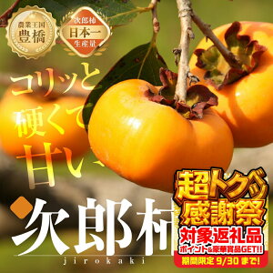 yӂ邳Ɣ[Łzs\ Yʓ{ LΊY Y` p 5kg ` 󂠂 s (15`25) Ê` ʕ t[c PA A { 10 11 10000~ 1~ JL m Ls