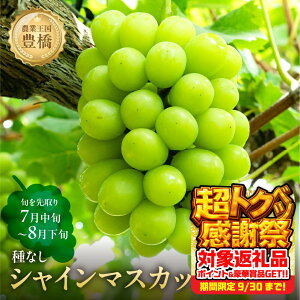 yӂ邳Ɣ[Łzs\ 2026N₽Ղ1.2kg LY 炲 Ȃ VC}XJbg300g×4 uhE Ԃǂ }XJbg t[c Â 1.2L ʕ Ls m Mtg v[