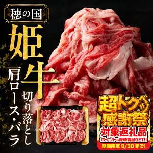 yӂ邳Ɣ[Łz 󏭂ȁw̍Px1kg L̎| [XEo ؂藎Ƃ ؂   󂠂(ʂC ؗ)