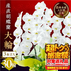 yӂ邳Ɣ[ŁzYӒwցx 3{ 30  t m bsOt j   Mtg j ~fB K p  Iׂ bsO 蕨 t[ \ j 