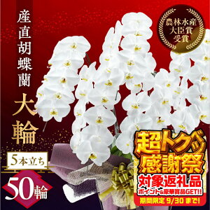 yӂ邳Ɣ[ŁzY Ӓwցx 5{ 50  t m bsOt j   Mtg j ~fB K p  Iׂ bsO 蕨 t[ \ j