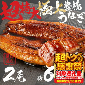yӂ邳Ɣ[Łz ɏ LȂ  2 ~600g I Y V ȈՕ 󂠂 EiM Ȃ V  ĖڏX Mtg zz ō Ђ܂Ԃ ypN̓ Mtg Ⓚ  N̓ 