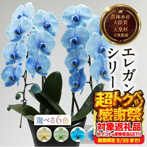 yӂ邳Ɣ[ŁzӒwGKXJ[x 2{ Iׂ6F  t m   Mtg j j 蕨   Ij ACj ij Ê Ď j _꒼