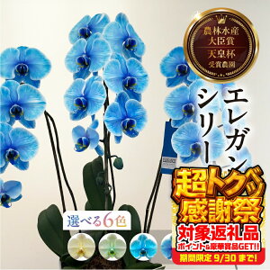 yӂ邳Ɣ[ŁzӒwGKXJ[x 3{ Iׂ6F  t m   Mtg j j 蕨   Ij ACj ij Ê Ď j _꒼
