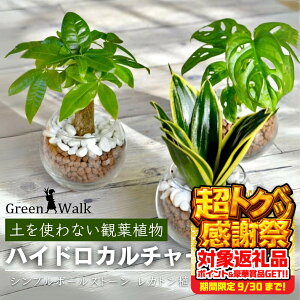 yӂ邳Ɣ[ŁznChJ`[ ϗtA Vv{[Xg[ JgA 2 A y CeA  O[ A ȒP S 킢 R   Green Walk
