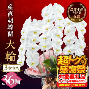 yӂ邳Ɣ[ŁzYӒwցx 3{ 36  t m bsOt j   Mtg j ~fB K p  Iׂ bsO 蕨 t[ \ j 