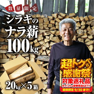 yӂ邳Ɣ[Łzss\ti d 100kg  20kg × 5 yV e Y  Lv AEghA BBQ Lvpi AEghAObY W[ ƒp ȈՕ 󂠂 