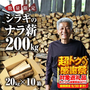 yӂ邳Ɣ[Łzss\ti d 200kg  20kg × 10 yV e Y  Lv AEghA BBQ Lvpi AEghAObY W[ ƒp ȈՕ 󂠂 