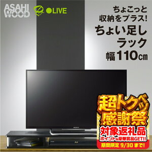 yӂ邳Ɣ[Łz؍ 傢bN ubN 110cmAS-110CTer [{[h Ƌ TV TV{[h er{[h [ [^Cv p\R PC erbN ȃXy[X V
