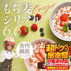 yӂ邳Ɣ[ŁzY X[p[ VA6.6 1kg   VA ͂ N H H@ 󂠂 PA 킯 Ɩp m Ls 15000~