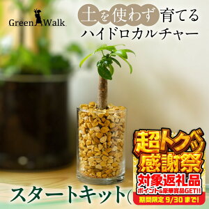 yӂ邳Ɣ[ŁznChJ`[ ϗtA pL X^[gLbg y CeA  O[ A ȒP S 킢 R   Green Walk O[EH[N m 