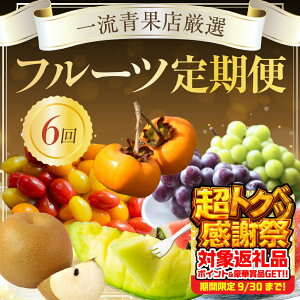 yӂ邳Ɣ[ŁzꗬʓXIIt[c 6iEԂǂEEXCJE`Eg}gj  6 6񂨓͂ t[c ʕ { t[c I VC}XJ
