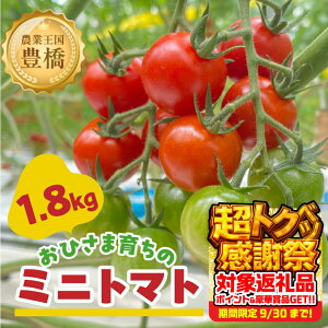 yӂ邳Ɣ[Łzs\₨Ђ܈炿̃~jg}g 1.8kg  ₳ g}g ~jg}g v`g}g x Â t[c g}g Ƃ܂ tomato h{ T_ m Ls