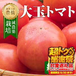 yӂ邳Ɣ[Łzs\ʃg}g  1kg g}g  Z Â  x n tomato Ƃ܂ ₳ R SS {  m Ls