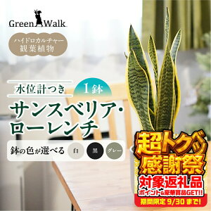 yӂ邳Ɣ[ŁzTXxA[` mg[130픫 ʌvZbg CeA  O[ A ȒP S 킢 R   Green Walk O[EH[N m