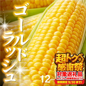yӂ邳Ɣ[Łzs\ ߘa8NYi2026Nnj Ƃ낱 S[hbV 5kg x 12{ ~ 15{̂ lC Â ȒP ܂ t[c m Ls 13000~ Ė
