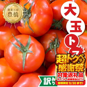 yӂ邳Ɣ[Łzs\ 󂠂g}g 1kg Ƃ܂ g}g tomato  Â ThCb` T_ 󂠂 A 킯 PA KiO { {̖ N m Ls