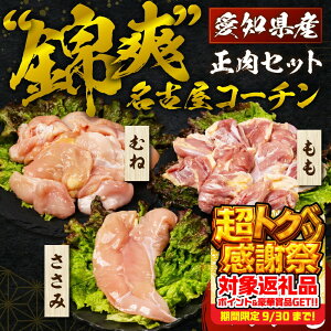 yӂ邳Ɣ[ŁzÉR[` Zbg 800g Y  ނ  {   1kg 1L  l  ނ˓  Ƃ肳 uh{ n{ uhn{ Ƃ Ƃނ 