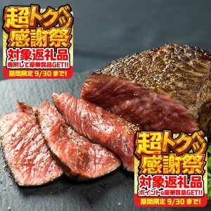 yӂ邳Ɣ[ [Xgr[t 420g e ^pbN ސ Ⓚ  ubN [Xgr[t [Xgr[t  Ⓚ  y p[eB[ AEghA Lv j ȒP