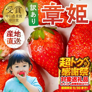 yӂ邳Ɣ[Łzs\I ͕P 󂠂肢 v1kg ( 250g × 4 )  C`S  t[c { ʕ ̂ꂽ 10000~ 1~ V[gP[L t[cTh ɂ XC[c Yn 