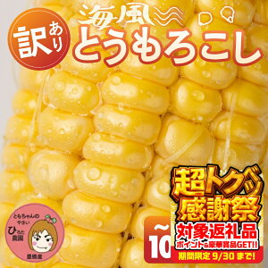 yӂ邳Ɣ[Łzs\ ߘa8NYi2026Nnj󂠂 Ƃ낱 10{ 20{ 30{ őlC m Ls Ė  ~lՂ C  BBQ Ƒ t[h