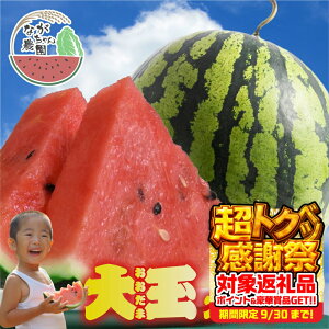 yӂ邳Ɣ[Łzs\ 2026N Ȃ_ ʃXCJ 1ʁb Z XCJ  t[c ʕ {  XC[c 1~ 10000~ m Ls