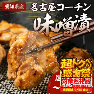 yӂ邳Ɣ[ŁzÉR[`X 400g ~ 800g t t t t Y  ނ {   1kg 1L  l  ނ ÉR[` n{ uhn{ Ƃ 