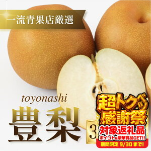 yӂ邳Ɣ[Łzs\ 2026N ݌Ɍ L Iׂ 3kg or 5kg  L L K K H H V V Ȃ ʕ t[c ʎ { {̉ʕ ܂ y I 