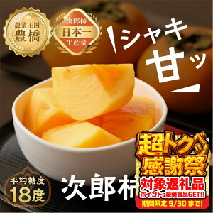 yӂ邳Ɣ[Łzs\ Y` 󂠂 Iׂe y:16 / :20~25z4kg 5kg ق 햳 ` JL  ʕ t[c { Â XC[c  x Yi Yn 