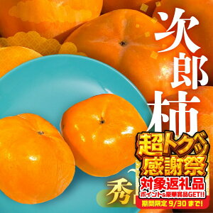 yӂ邳Ɣ[Łzs\ ʌ Yʓ{ mLY Y` Gi 蕨ɂI Iׂ e 3kg 6.5kg ` Ê` ʕ t[c 10 11 m Ls r^~C h{ H